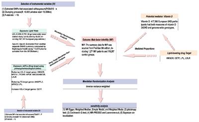 Lipids, lipid-modified drug target genes, and the risk of male infertility: a Mendelian randomization study